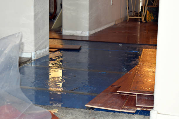 Professional Flood Damage Restoration technician working in Danvers, IL